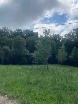 Wooded Lot Near Lake Michigan