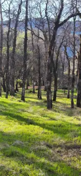 Chico Land with Creek Access