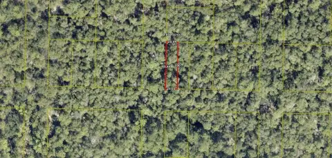Undeveloped Land in DeFuniak Springs
