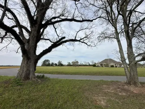 Agricultural Land with Mature Oaks