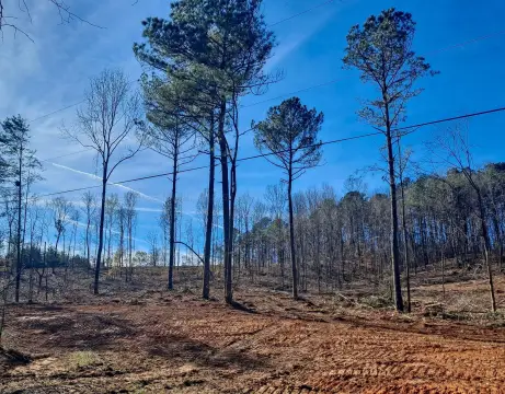 Parrish, AL Land For Sale