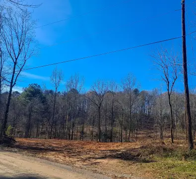 Parrish, AL Land For Sale
