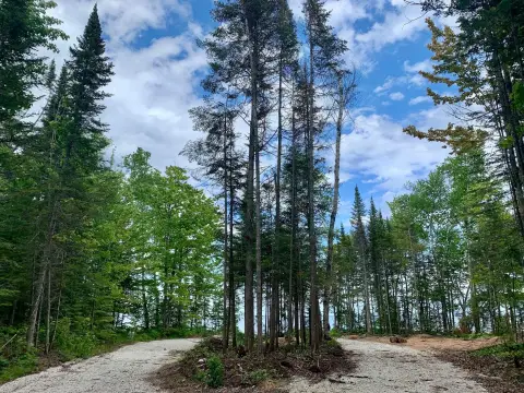 Waterfront Residential Development Land
