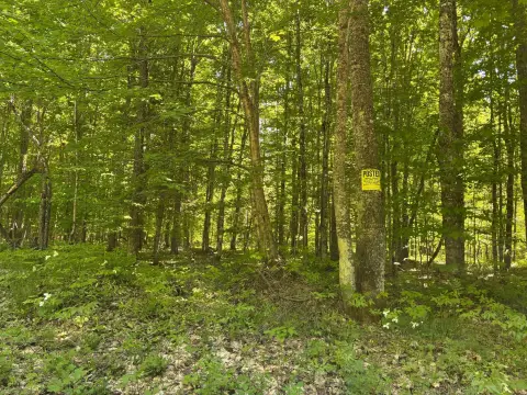 Recreational Hunting Land Parcel