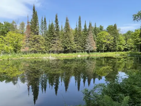 Recreational Waterfront Land Parcel