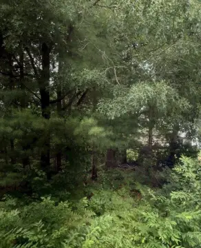 Wareham Land Opportunity