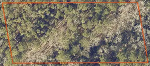 Appling, GA Wooded Land