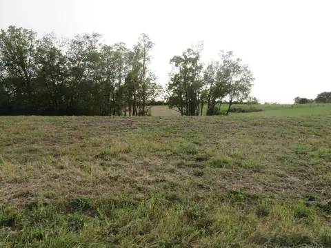 Residential Lot in Thoroughbred Estates