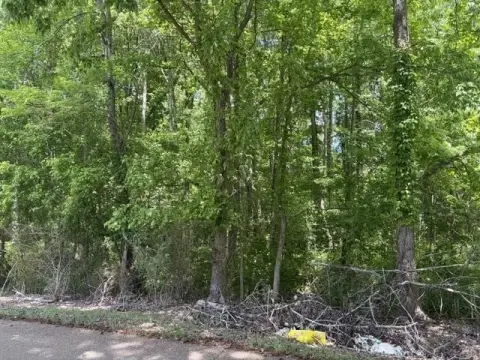 Wooded Hunting and Timber Land