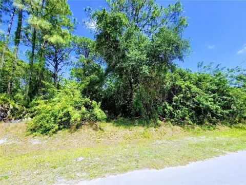 Vacant Land in North Port