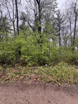Wooded Lots in Howard City