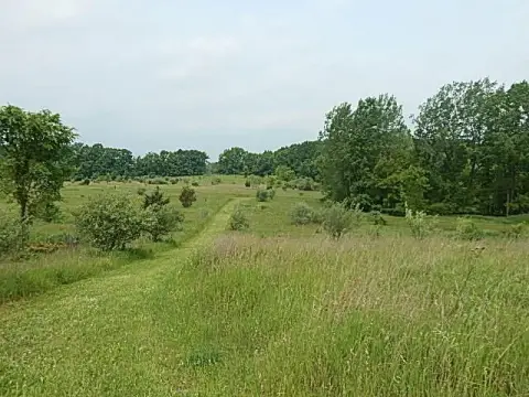 Ingham County Prime Land