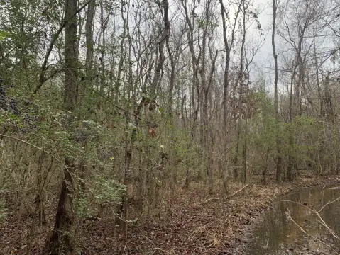 Rayville Commercial Land Opportunity