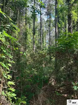 Recreational Timber Land Tract