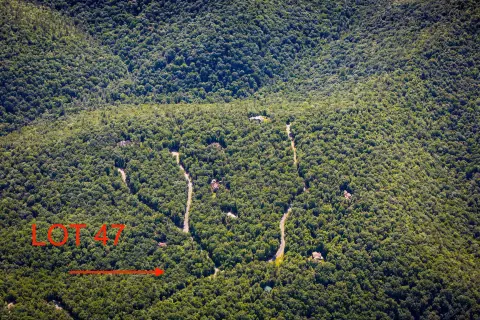 3.91-Acre Wooded Homesite in Hinton