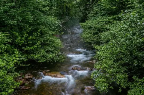 3.91-Acre Wooded Homesite in Hinton