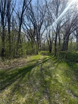 Wooded Lot in Archibald Acres