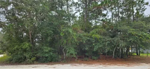 Residential Land in Brooksville, Florida