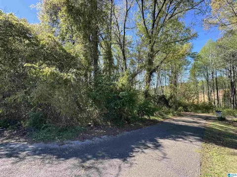 Residential Lot in Dora, AL