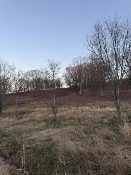 Residential Land in Winchester, KY