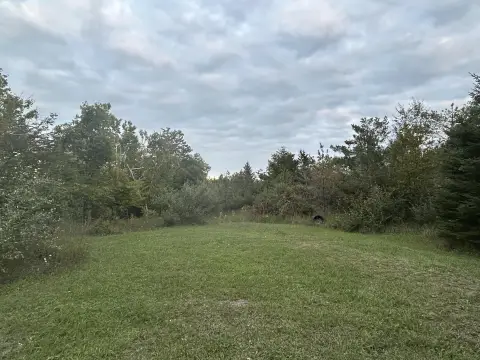 Posen, MI Land For Sale