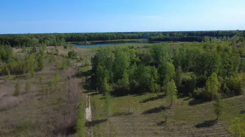 Hunting Land with Food-Plot Areas