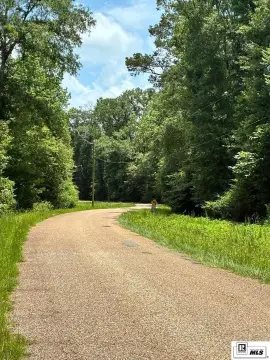 Recreational Timberland Tract with Creek