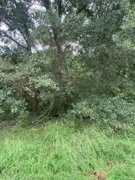 Residential Land in Pendleton, SC