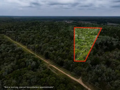 Recreational Land in Newaygo County