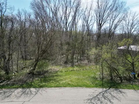 Commercial Lot in Ionia, MI