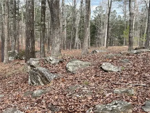 Phenix City Acreage Opportunity