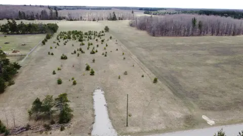 Goetzville Vacant Land For Sale