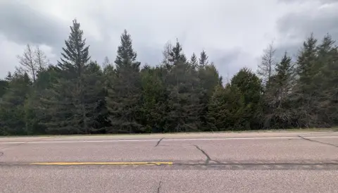9 Acres Wooded Land, Moran