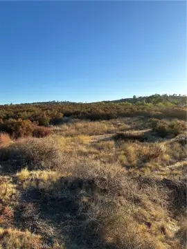 Custom Home View Lot