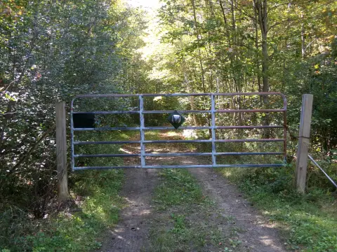 Wooded Acreage with Potential