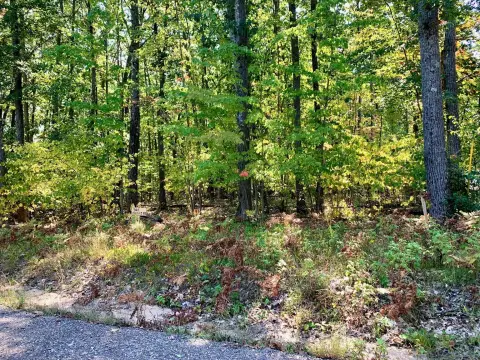 Wooded Lot Near Higgins Lake