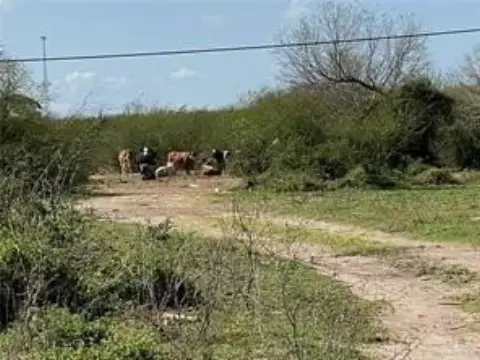 Mission, TX 17-Acre Land Parcel
