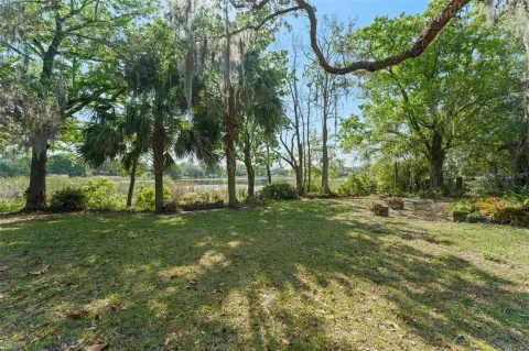 Expansive Lot in Orlando