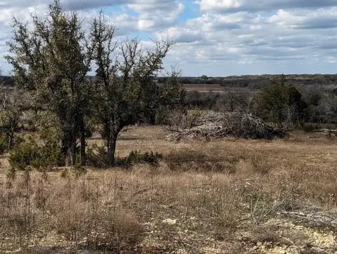 Unimproved Land in Carlton, TX