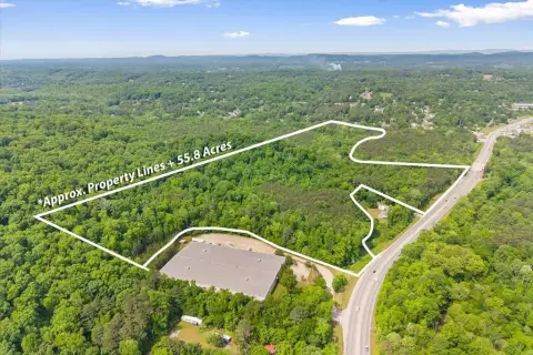 55 Acres Wooded Land