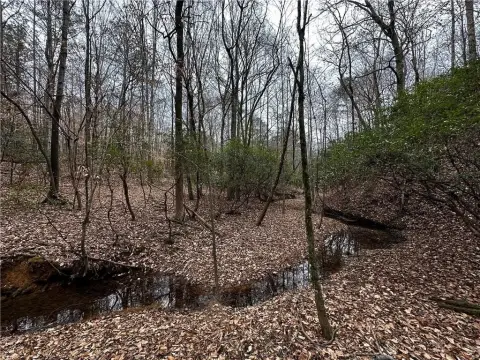 6+ Acre Homesite Near Lake