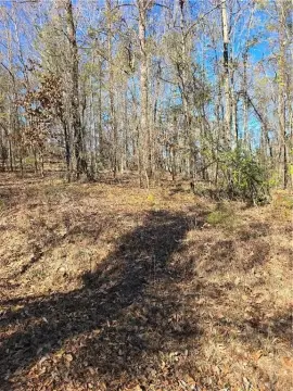 Phenix City Land Opportunity