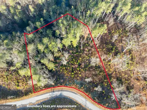 Ellijay Land with River Access