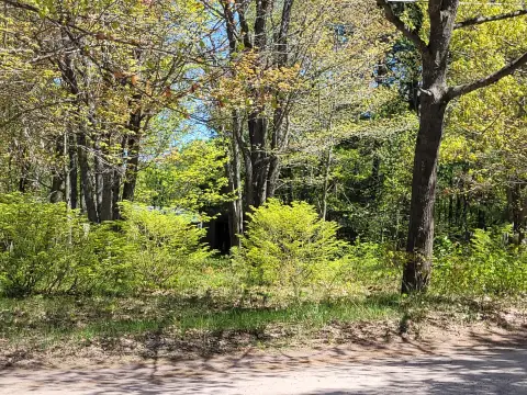 Buildable Corner Home Lot