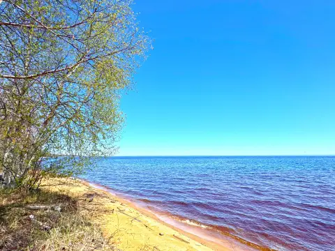 Cleared Waterfront Land