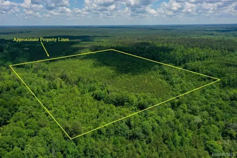 48.5 Acres Hunting Land, Jackson