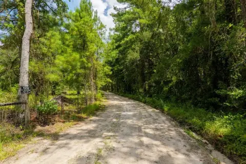 7 Acres with Pond, Utilities