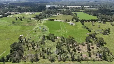 12+ Acres of Open Land