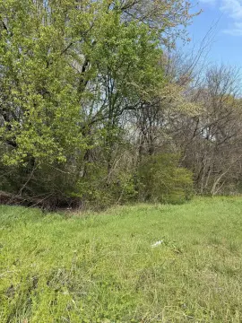 Land For Sale, Memphis