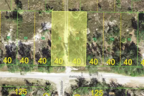 PUNTA GORDA Vacant Land